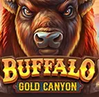 Buffalo